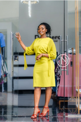 Elegant Shift dress